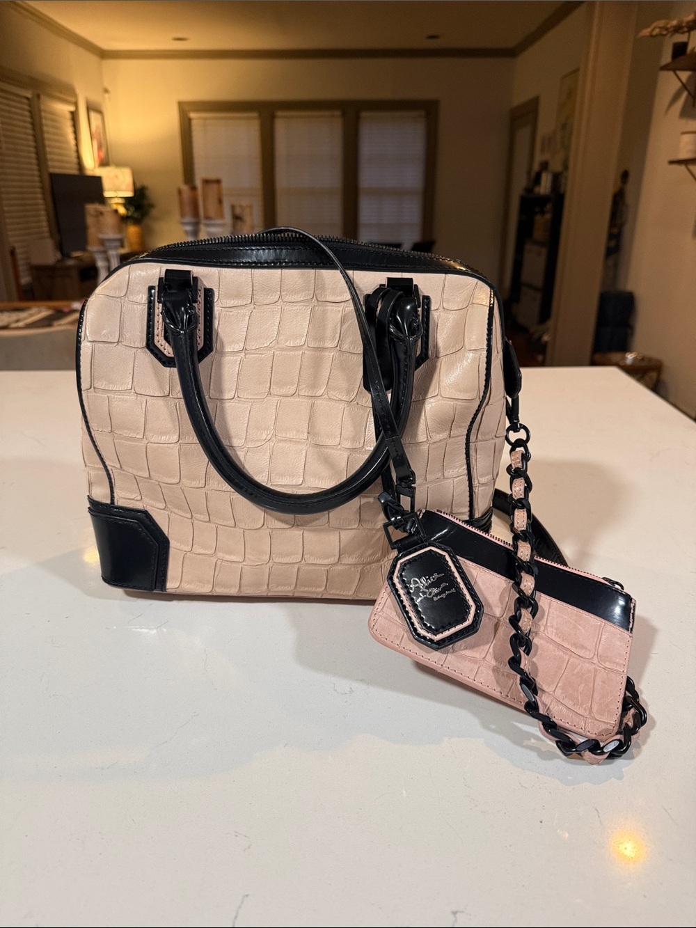 Alice and Olivia speedy style bag